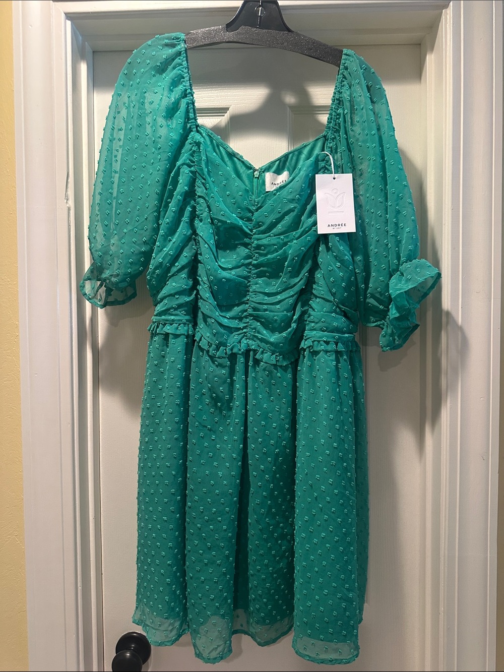 Women’s Teal Puff-Sleeve Swiss dot Dress